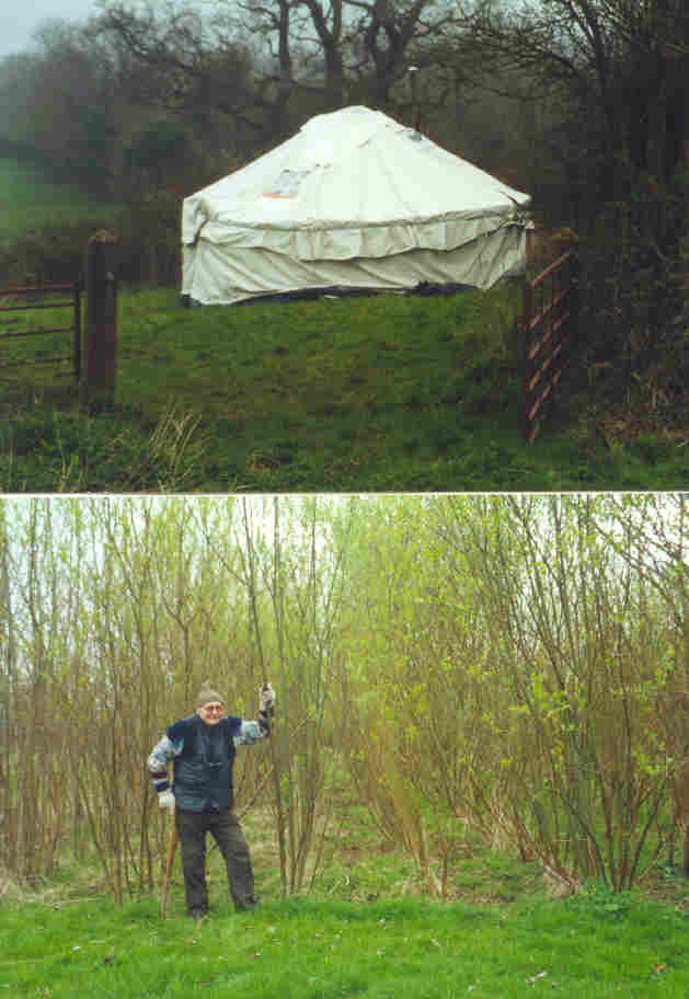 16 foot yurt and Philip Greig with willow coppice